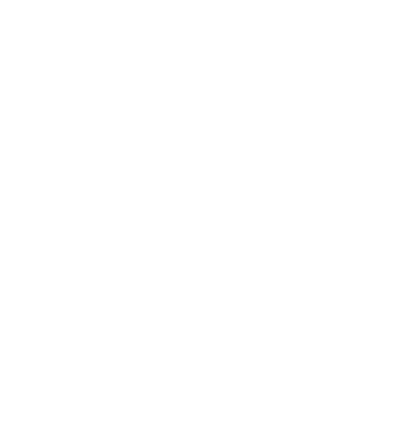 Foundation of the Americas