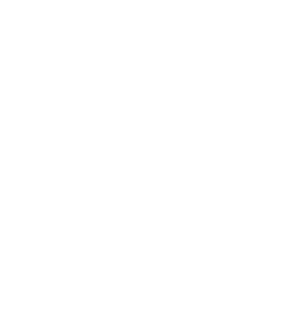 Foundation of the Americas